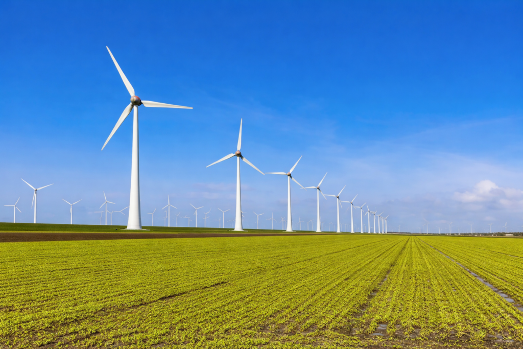 windmolens in dronten met natuur