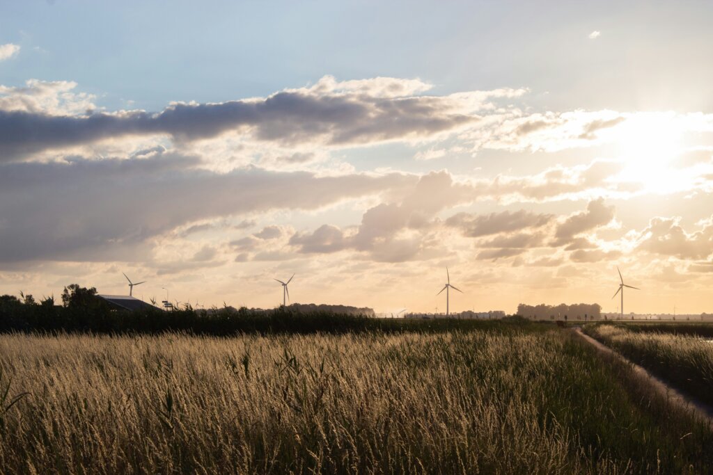 landschap in dronten die rust weergeeft
